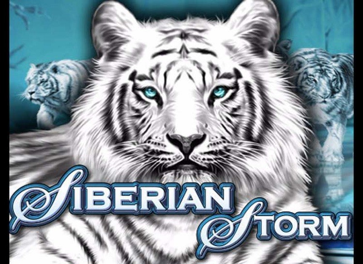PLAY SIBERIAN STORM FREE SLOT GAME 3