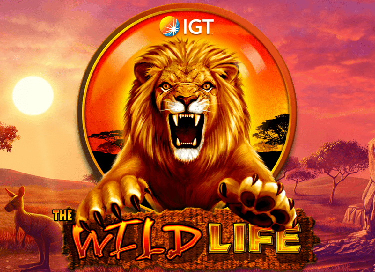 JUEGA AL JUEGO DE TRAGAMONEDAS GRATIS WILD LIFE 3