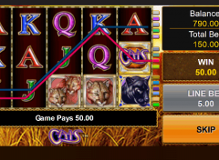 PLAY CATS FREE SLOT GAME 4