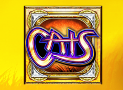 PLAY CATS FREE SLOT GAME 6