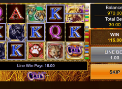 PLAY CATS FREE SLOT GAME 5