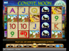 JUEGA AL JUEGO DE TRAGAMONEDAS GRATIS COYOTE MOON 6