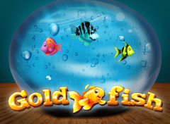 PLAY GOLD FISH FREE SLOT GAME 6