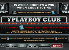 PLAYBOY SLOT ТЕГІН ОЙЫН ОЙЫНДАУ 4