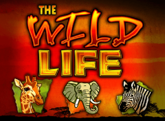 JUEGA AL JUEGO DE TRAGAMONEDAS GRATIS WILD LIFE 5