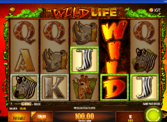 JUEGA AL JUEGO DE TRAGAMONEDAS GRATIS WILD LIFE 4