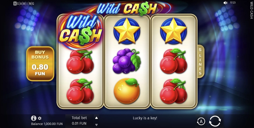 Wild Cash review