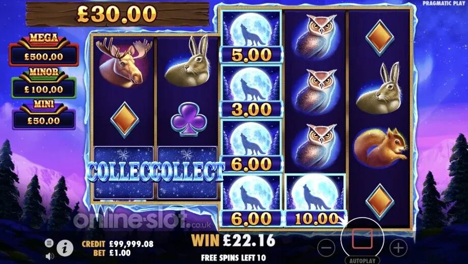 Wolf Wild slot review